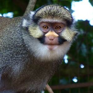 Alljobspo Jobs Search Engine 